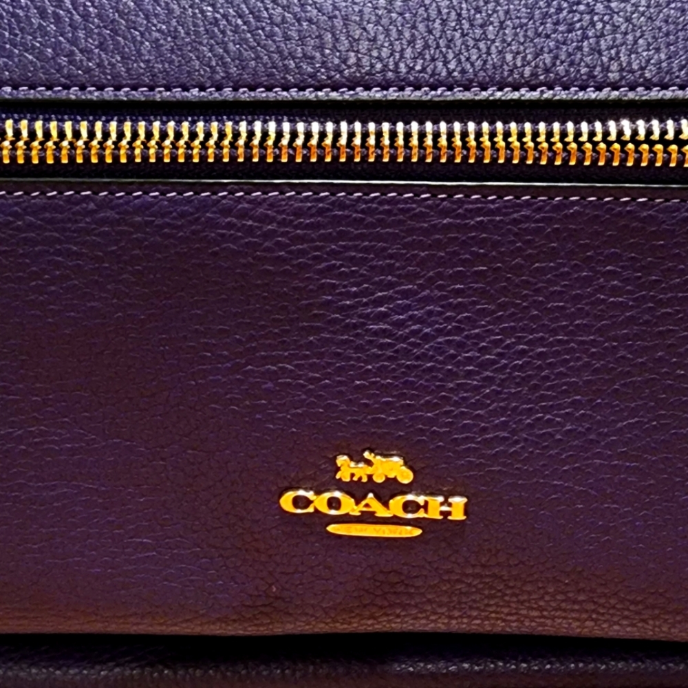 Coach Backpack, Purple